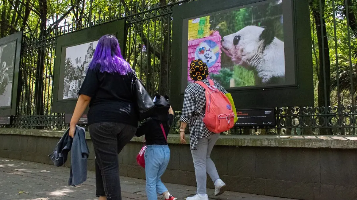 Exposicion rejas Chapultepec